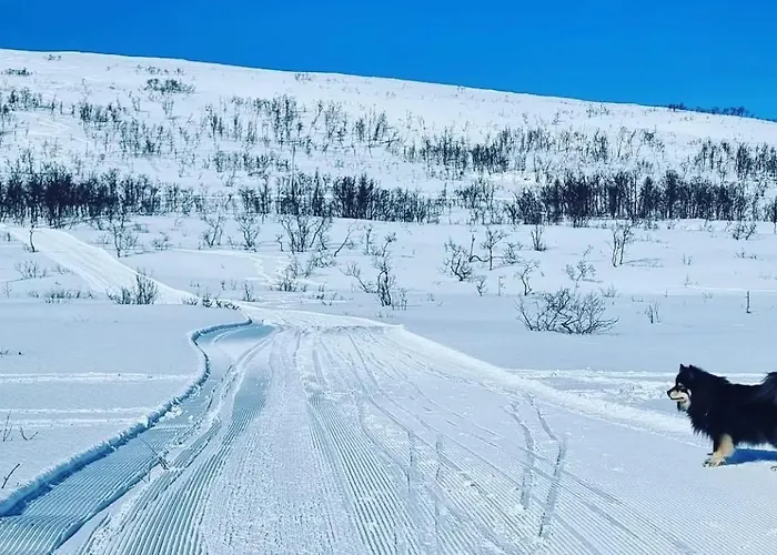 New Renovated Near The Airport With 3 Double Beds * 特罗姆瑟